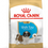 Thumbnail: Royal Canin Shih Tzu Puppy