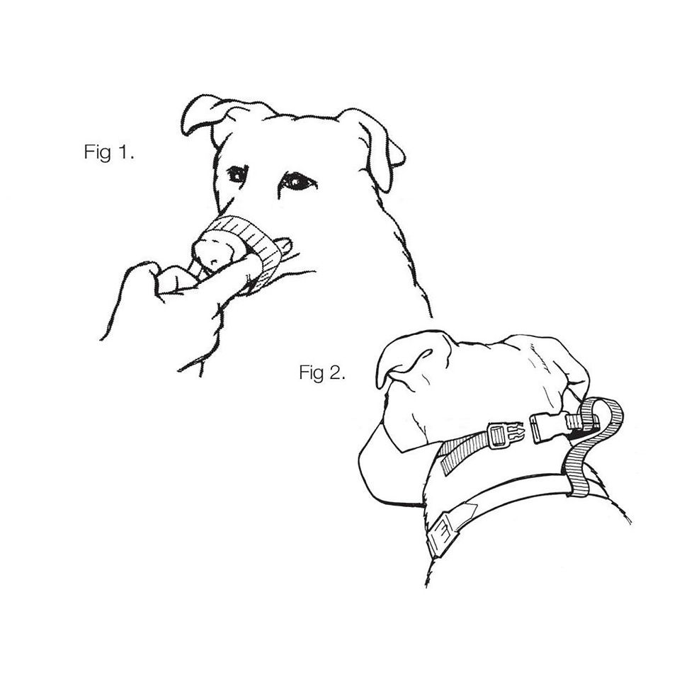 Thumbnail: Mikki Muzzle Size 0 For Tiny Dog Breeds