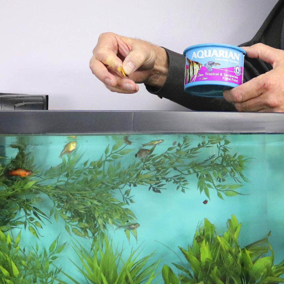 Thumbnail: Aquarian Tropical & Temperate Flake Food