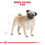 Thumbnail: Royal Canin Pug Adult