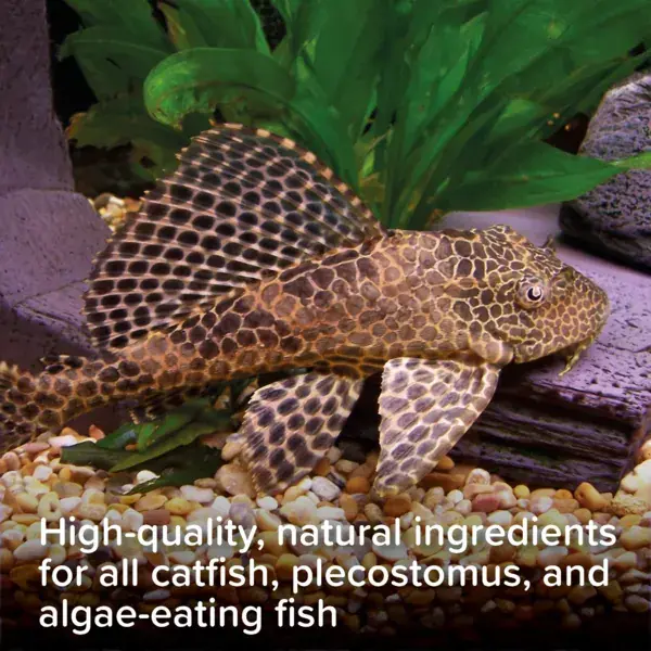 Thumbnail: King British Algae Wafers