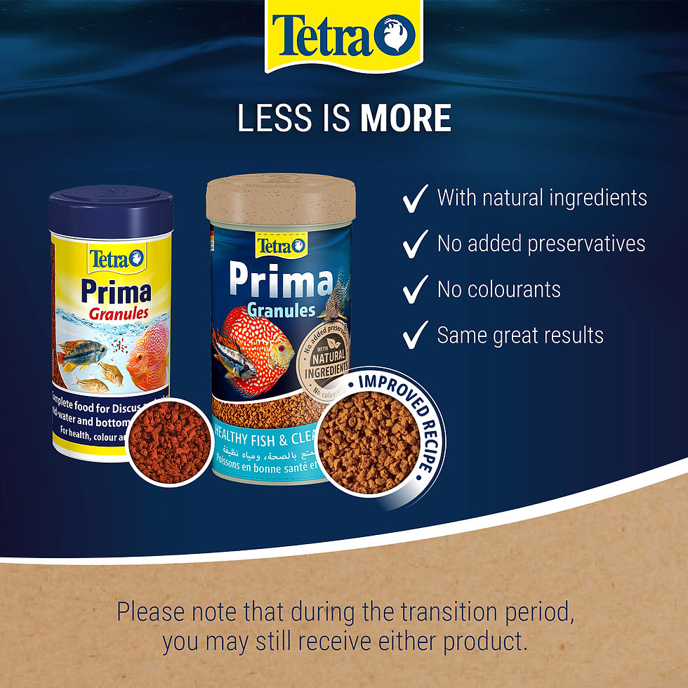 Thumbnail: Tetra Prima Tropical Granules
