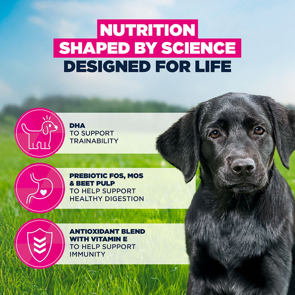 Thumbnail: Eukanuba Puppy Large