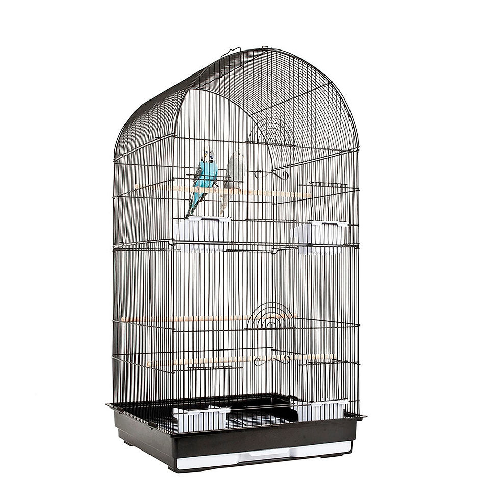 Thumbnail: Caracus Tall Bird Cage