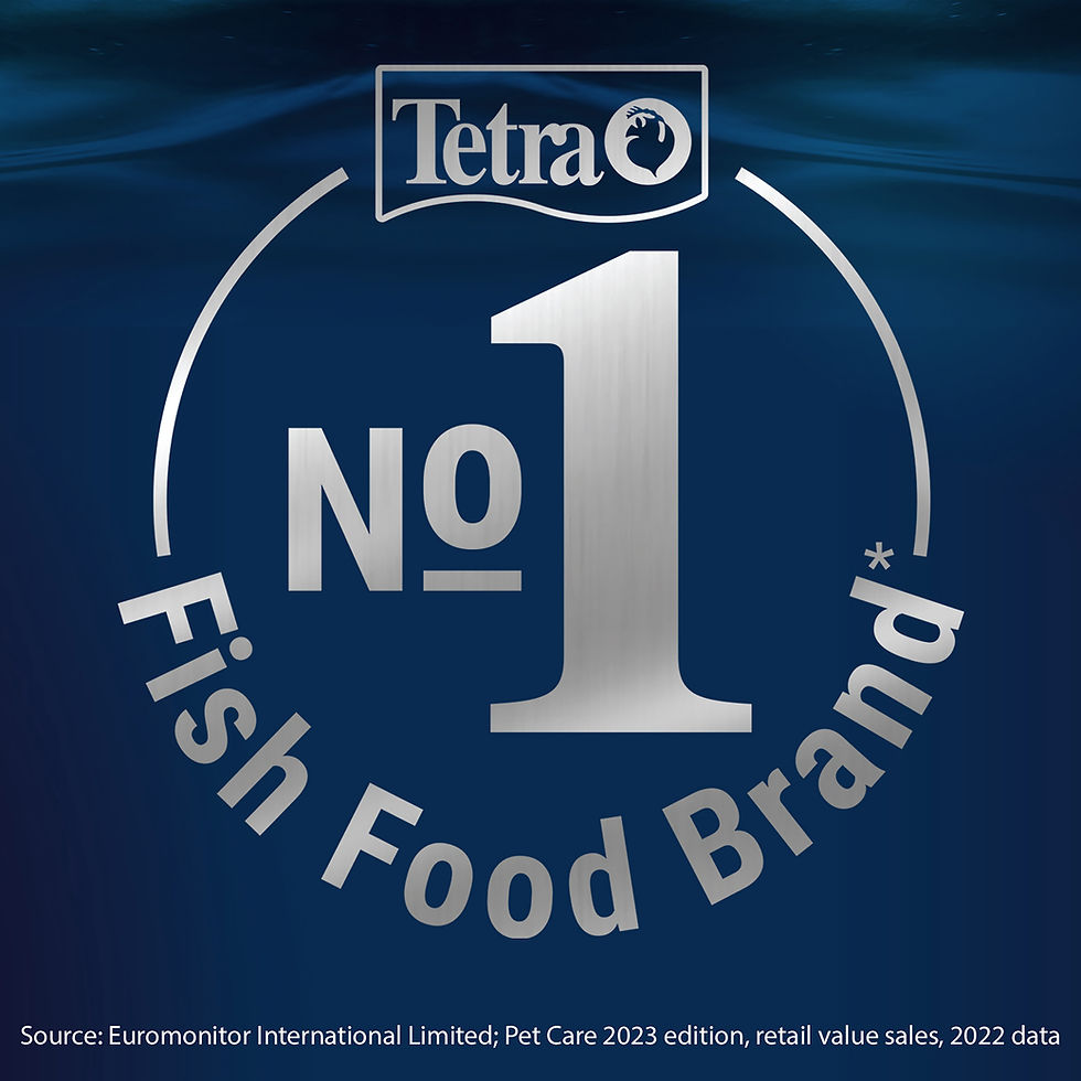Thumbnail: Tetra Prima Tropical Granules
