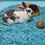 Thumbnail: Carefresh Paper Small Animal Bedding 14L