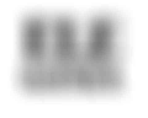 Corporate Design Vintage Store Eleganza 