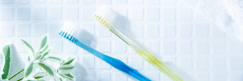 白い壁の前に置かれた歯ブラシと観葉植物