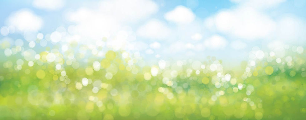 光に包まれた空と緑