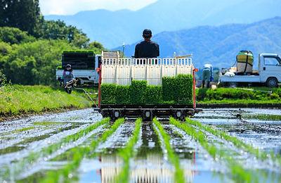 田植機で稲の苗を植える人