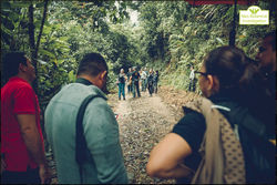 Golbal Big Day -  Neobotanical Investigation (56)