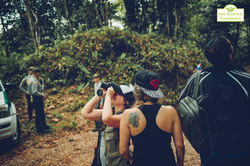 Golbal Big Day -  Neobotanical Investigation (6)