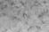Gerroll Background 1.jpg