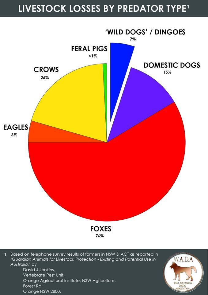 Poisoning apex predators - land and sky