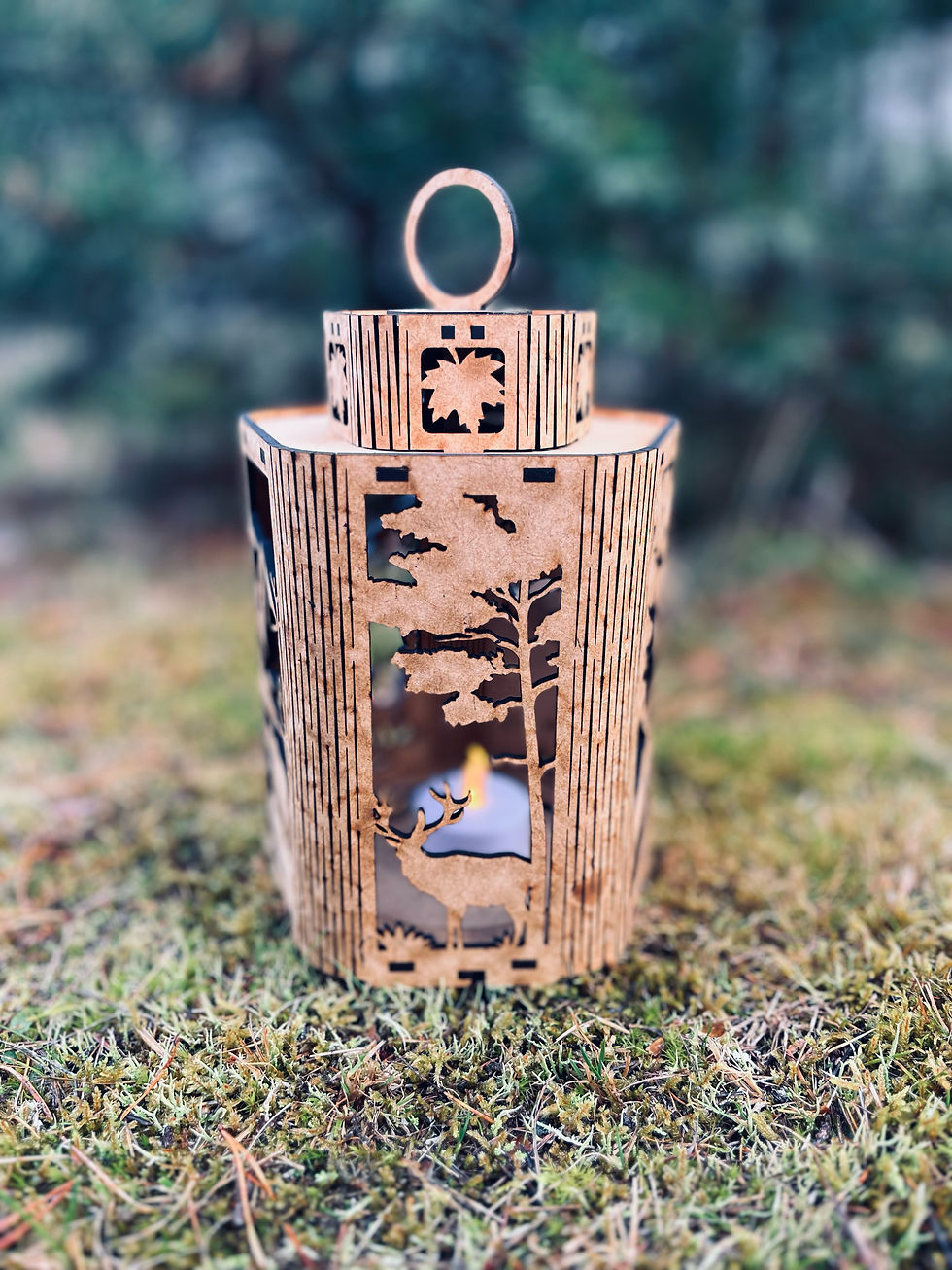 Miniatyrbilde: Lykt II