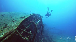 Shipwrecks as artifial reefs