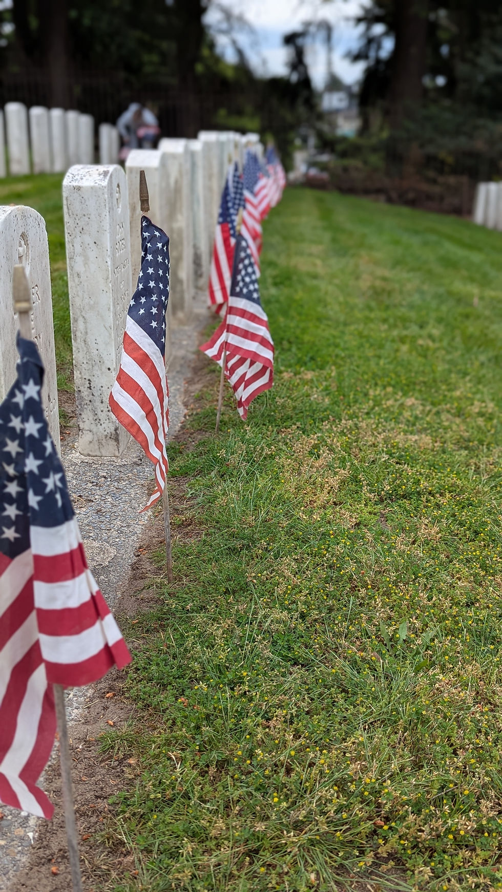 Row of US flags planted in front of military graves at Evergreen Washelli Cemetery in Seattle.