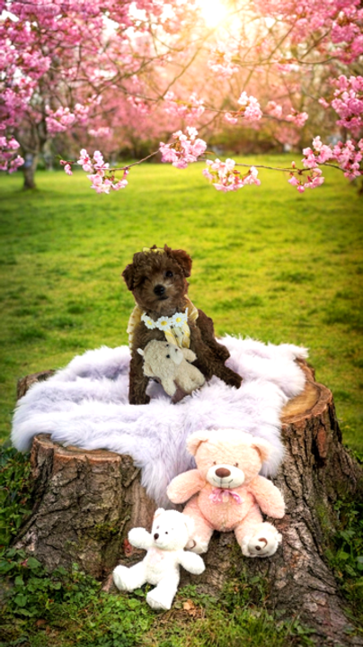 Alora Profile Pic.png