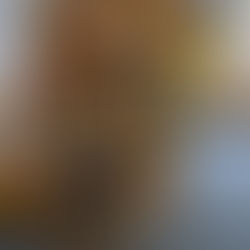 St Thomas' New Library