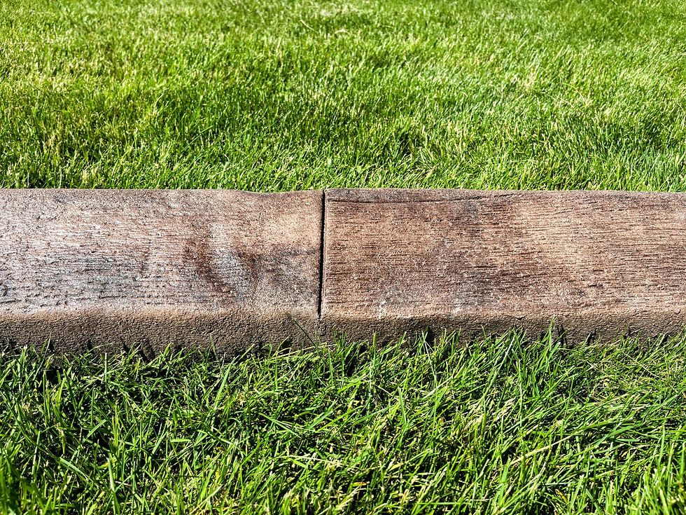 Buckeye Bark Front View