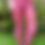 Thumbnail: PSYCHEDELIC LEGGINGS