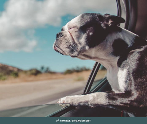 Increasing Social Engagement