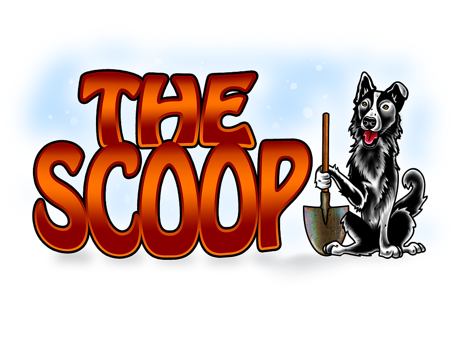 the-scoop5-filled-with-bg.png