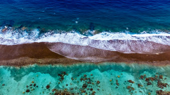 Barrier Reef