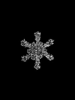 Crystalline Snowflake, Winthrop Courtyard