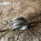Thumbnail: Ring 925s Saga David Andersen 