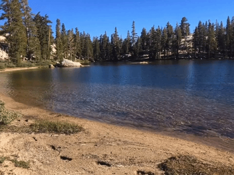 93d67e514e5e53c291d72b08783adec2.gif