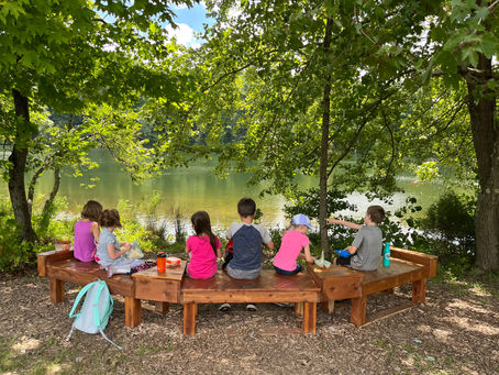Week One at The Montessori Field School