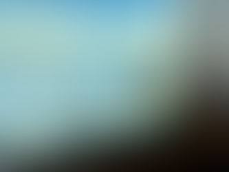 Bring the outdoors in... Decorating with natural elements