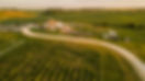 DJI_0151.jpg