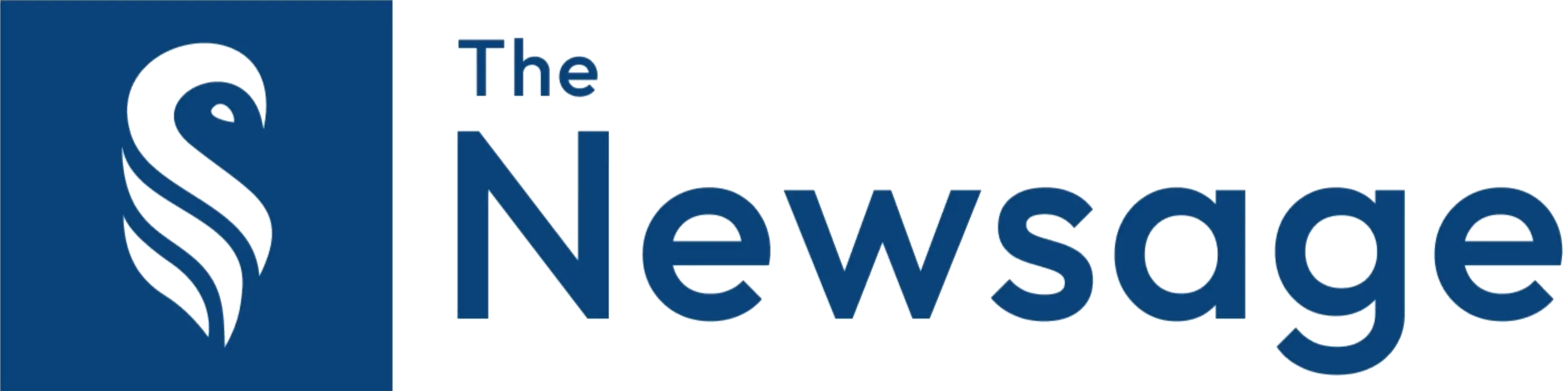 the newsage logo
