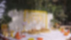 nippon-life-india_edited.png