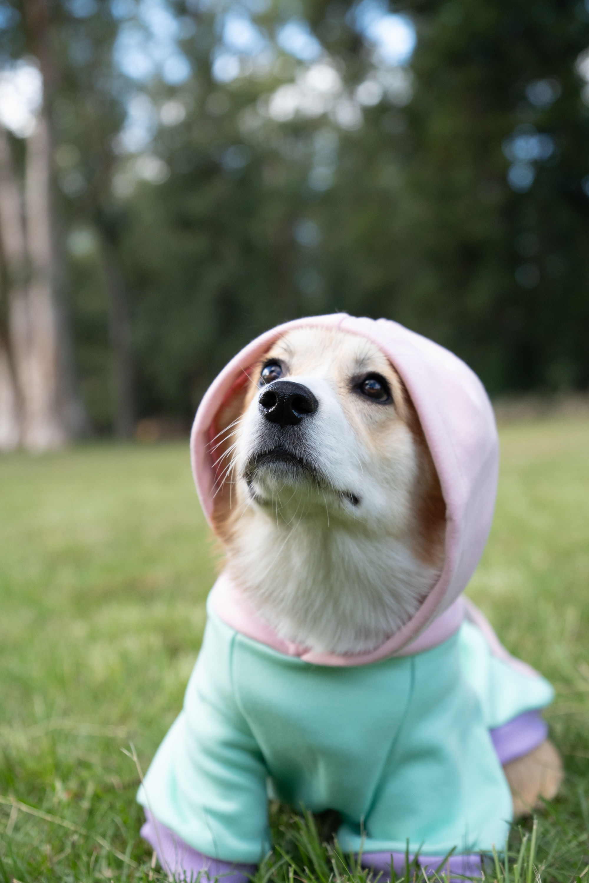 Hoodies Talle S