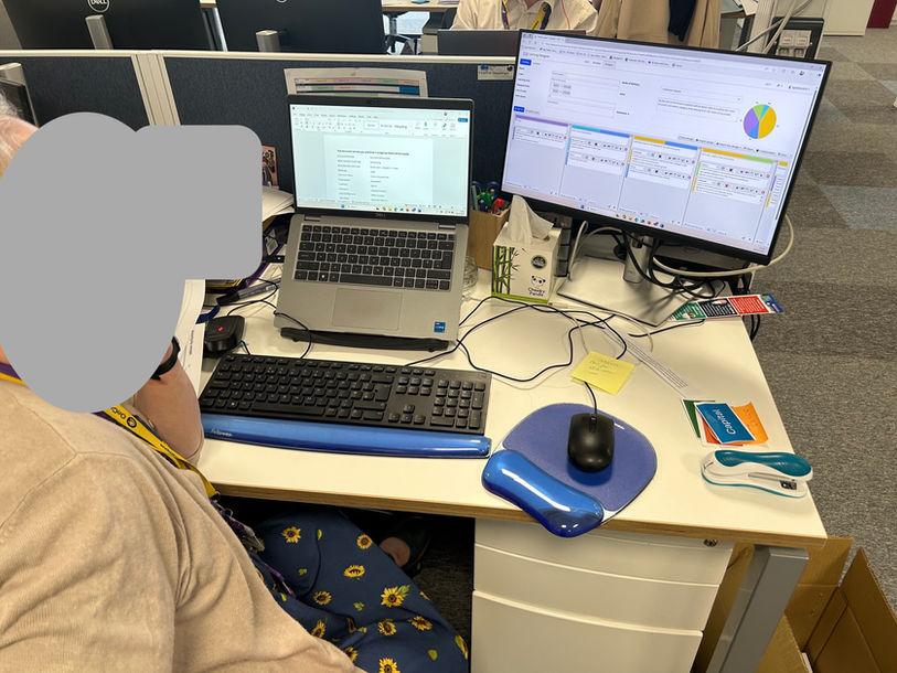 Woman sitting at a computer with a screen showing a pie chart
