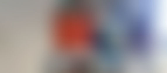 A Cabinet of Curiosities: Drawing Objects in the Studio