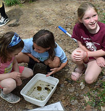 2025 Sept-Dec Newsletter - School's Out, Get Outside!.png