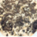 Cookies and Cream