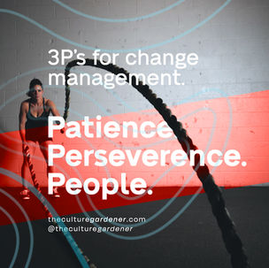 Patience, Perseverance and People : My Three P's for change management.