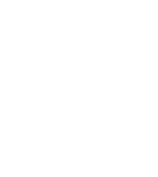 White Transparent Logo Health.png