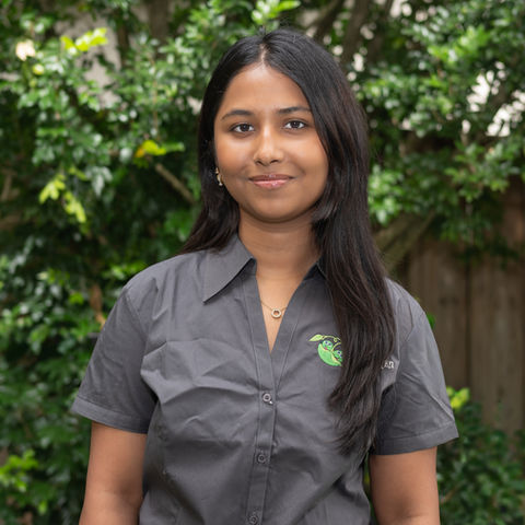 A Day in the Life at Turramurra Kindergarten — Through the Eyes of Our Educator