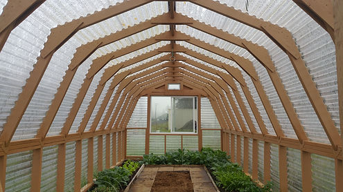 Green House with plants.jpg