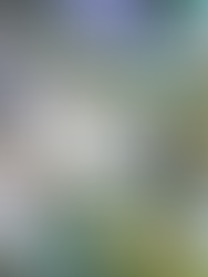 EA CEO Teases the Development of an EA Sports Metaverse: 'Stay Tuned for Exciting Updates