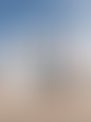 J.Crew Dives Deeper into the Metaverse: Unveils Styling App for Apple Vision Pro