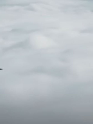 US Military Conducts First-Ever Dogfight Test between AI and Human Pilot