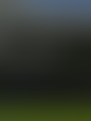 Roblox develops an in-house Live Language Model (LLM) and integrates real-time AI translation into the metaverse.