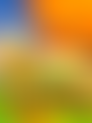 Bezogia's World Marks the Inaugural NFT Mint on Enjin Blockchain through a Festive World-Building Tournament